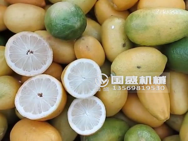檸檬壓榨機 檸檬壓榨機