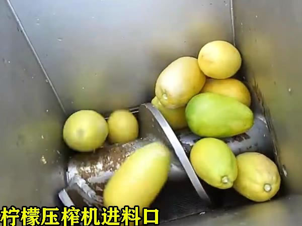 檸檬壓榨機進料口 檸檬壓榨機進料口