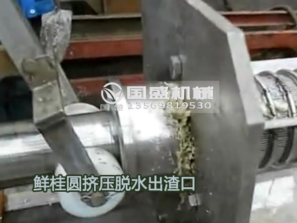 鮮桂圓擠壓脫水機(jī) 鮮桂圓擠壓脫水機(jī)